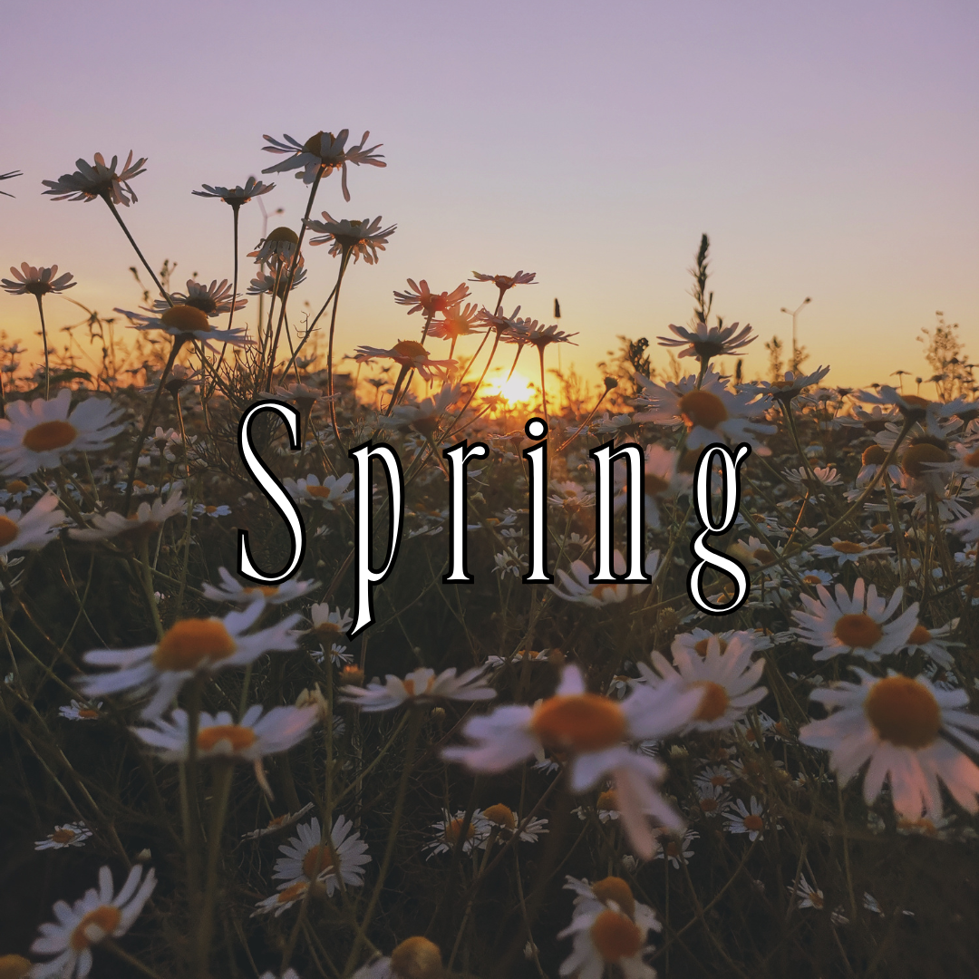 The Spring Collection