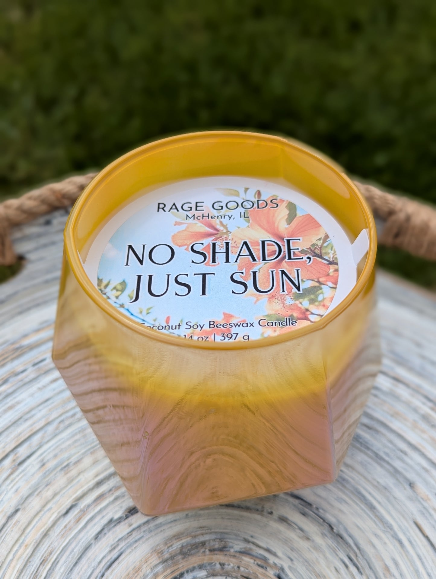 No Shade, Just Sun